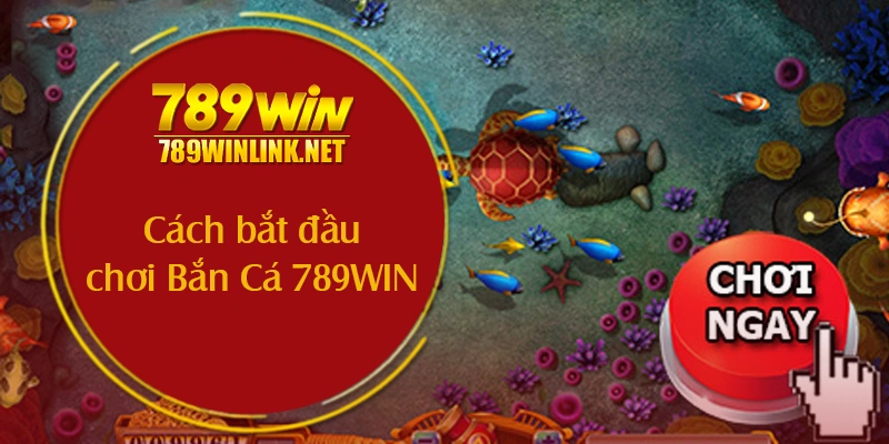 Cách bắt đầu chơi Bắn Cá 789WIN cho người mới