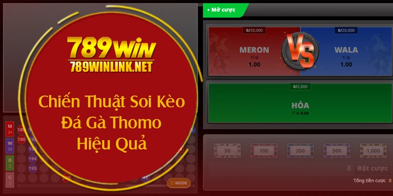 Chiến Thuật Soi Kèo Đá Gà Thomo Hiệu Quả